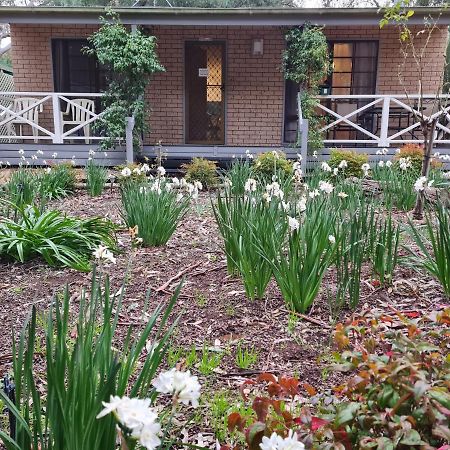 Barossa Country Cottages Lyndoch Luaran gambar